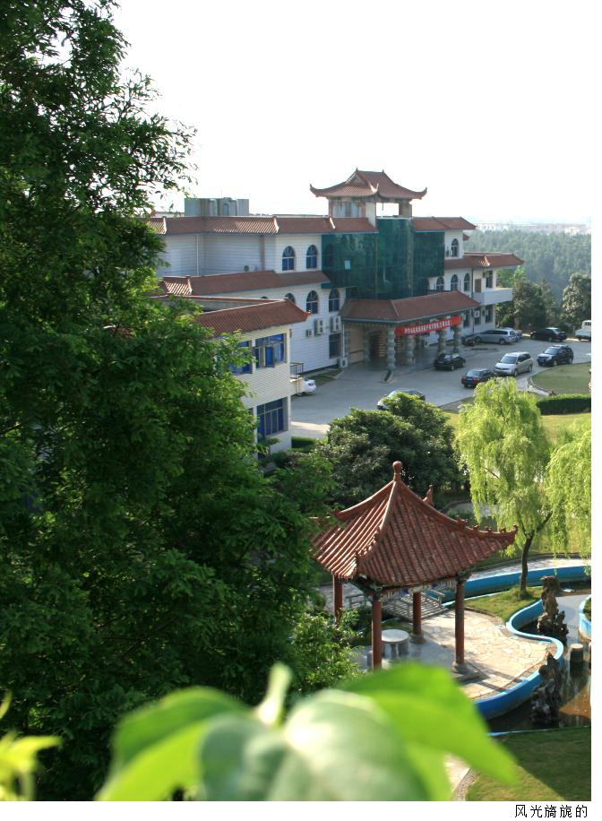 御龙山庄