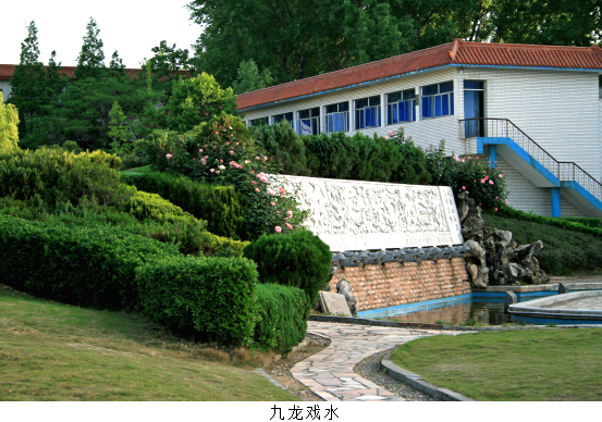 九龙戏水